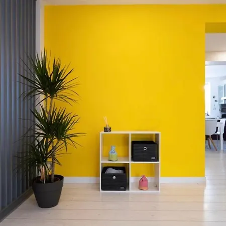 Apartment Euphoria *